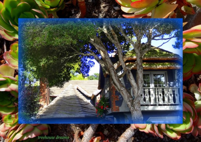 1-Pics for Blog Edits111