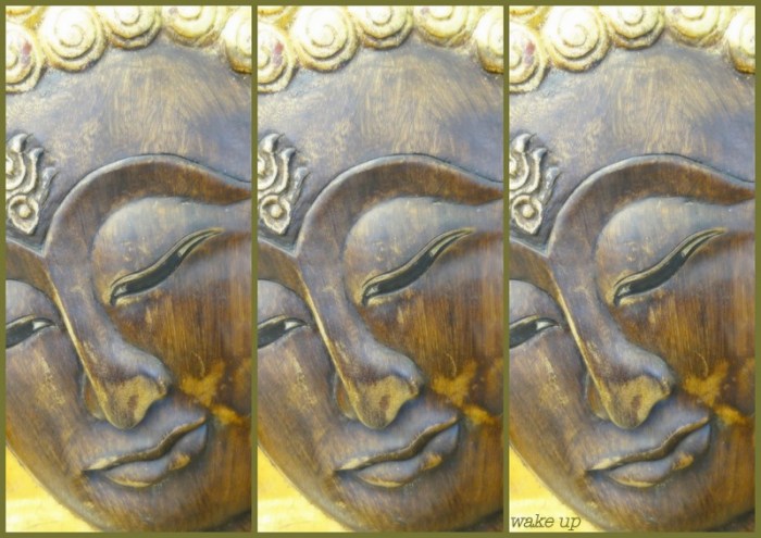 1-Pics for Blog Edits113