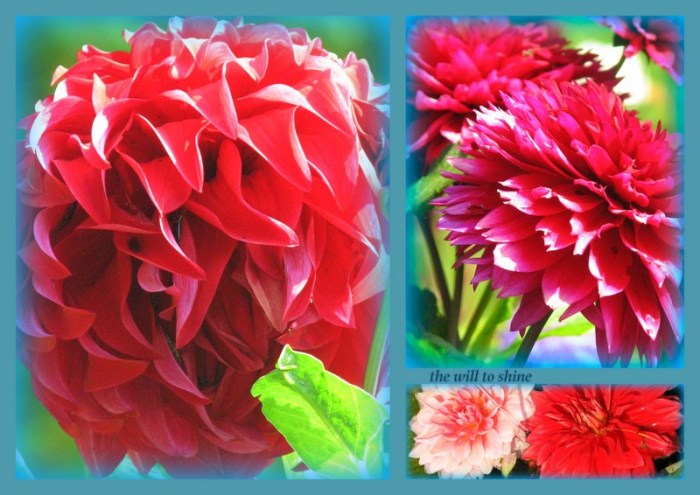 1-Pics for Blog Edits119