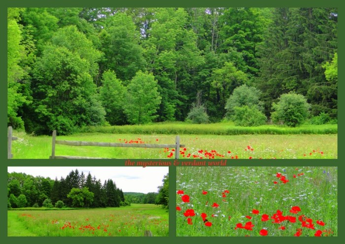 1-Pics for Blog Edits120