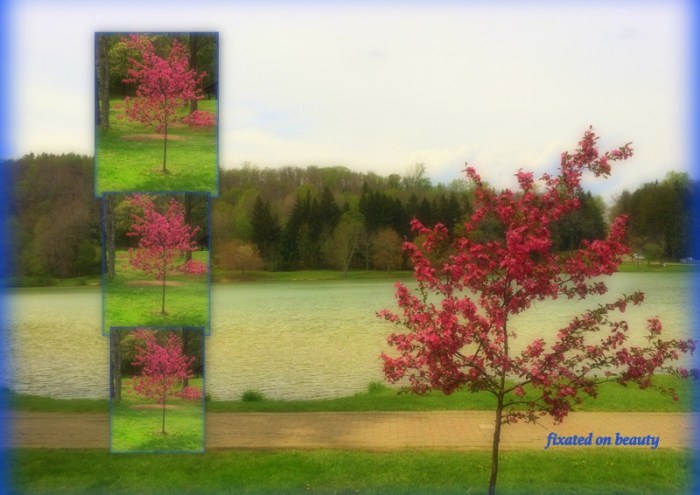 1-Pics for Blog Edits121