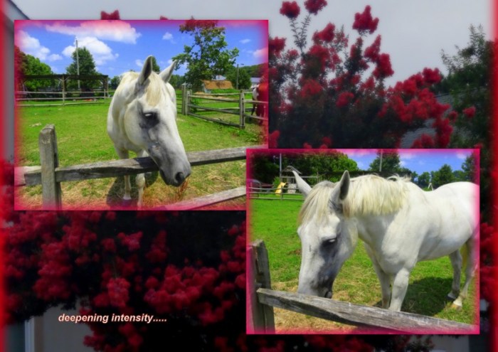 1-Pics for Blog Edits136