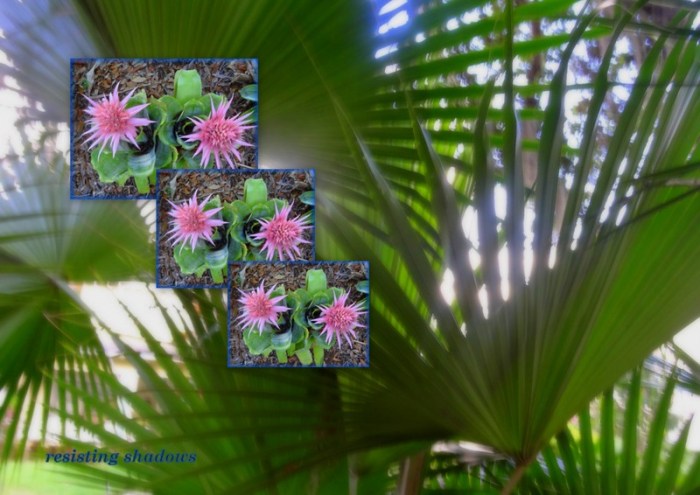 2-Pics for Blog Edits134