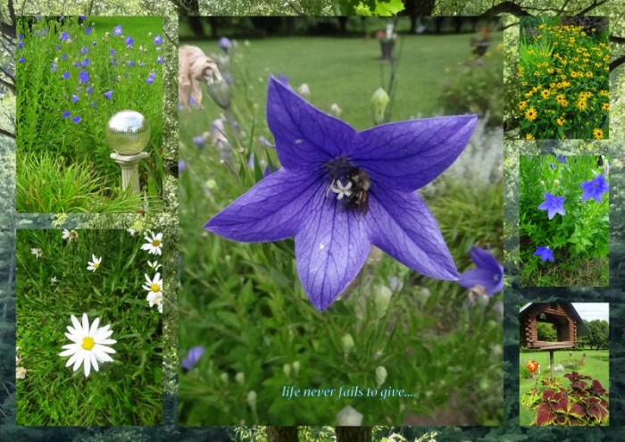 1-Pics for Blog Edits142