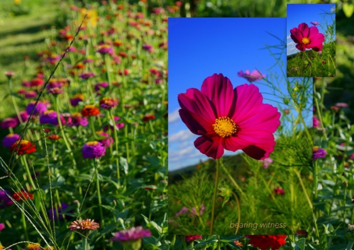 1-Pics for Blog Edits150