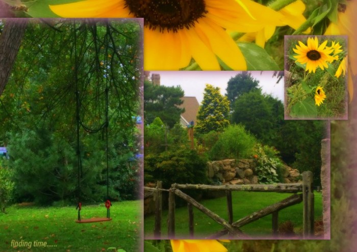 1-Pics for Blog Edits154