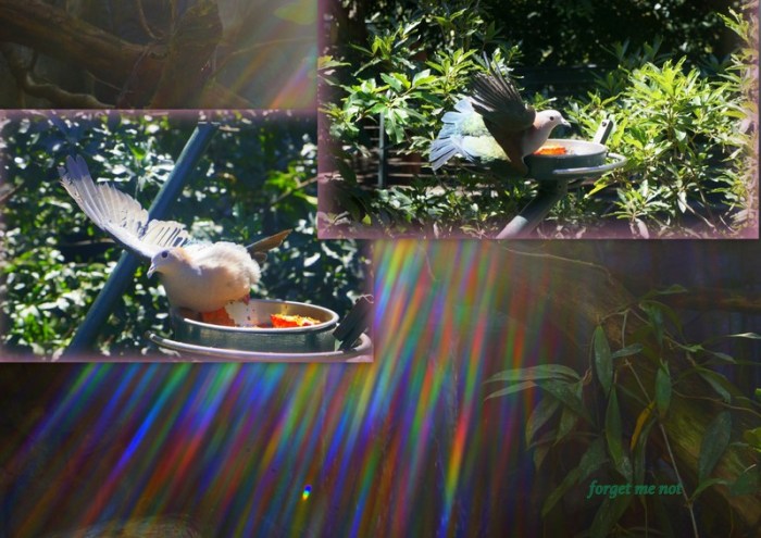 1-Pics for Blog Edits156