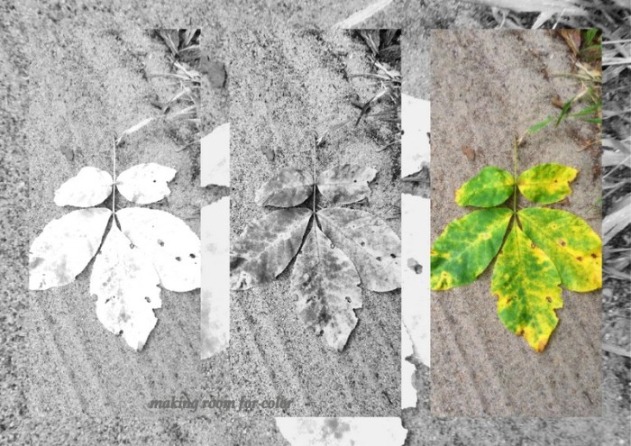 1-Pics for Blog Edits157