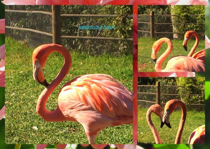 1-Pics for Blog Edits160