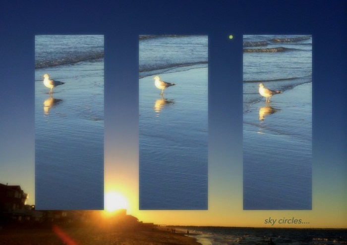 1-Pics for Blog Edits164