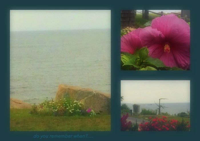 1-Pics for Blog Edits165