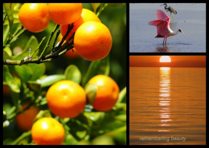 1-Pics for Blog Edits170