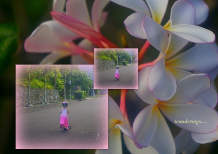 1-Pics for Blog Edits174