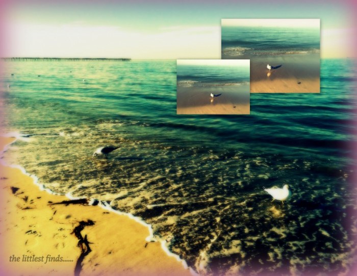 1-Pics for Blog Edits196