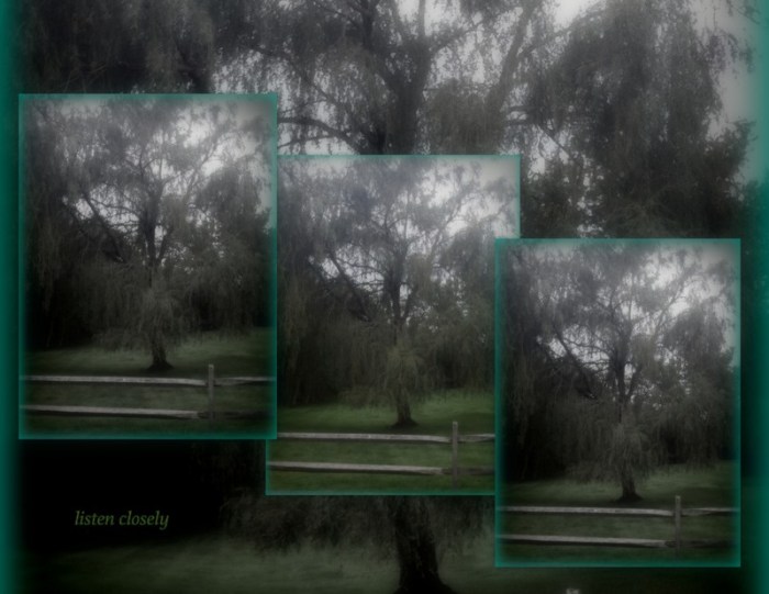 1-Pics for Blog Edits204