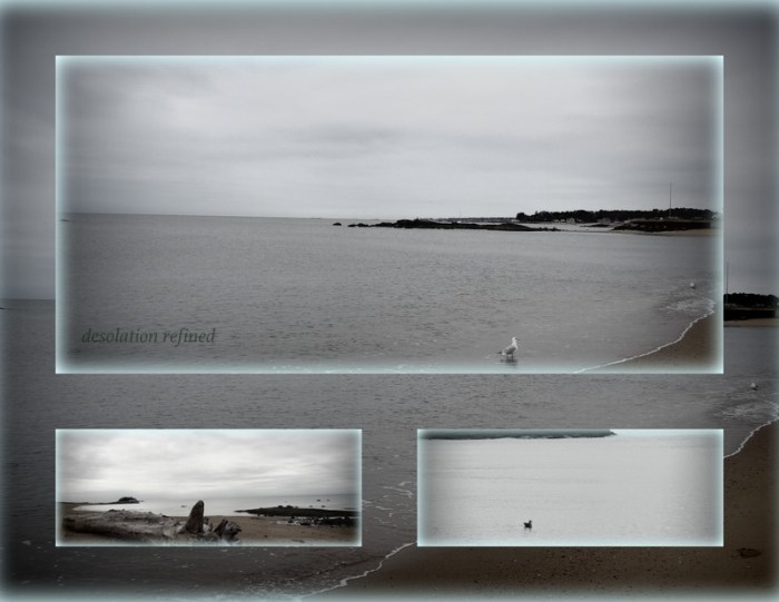 1-Pics for Blog Edits205