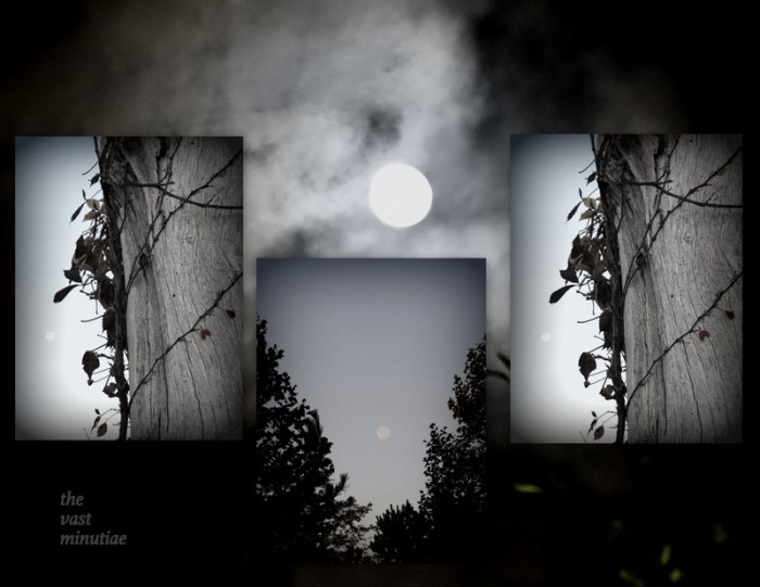 1-Pics for Blog Edits206