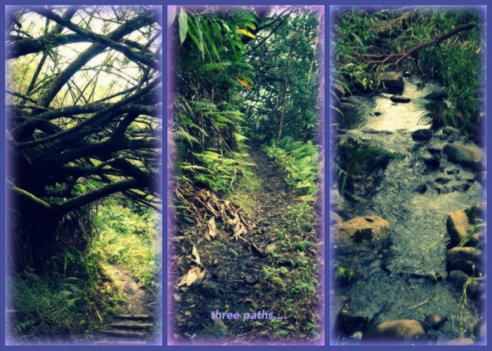 1-Pics for Blog Edits214