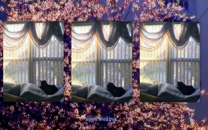 1-Pics for Blog Edits227