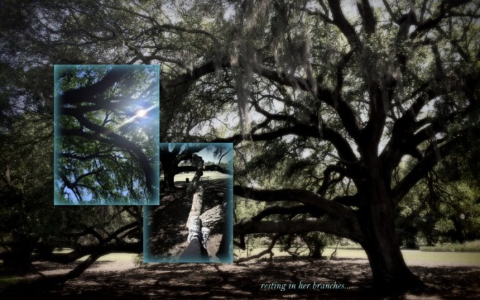 1-Pics for Blog Edits232