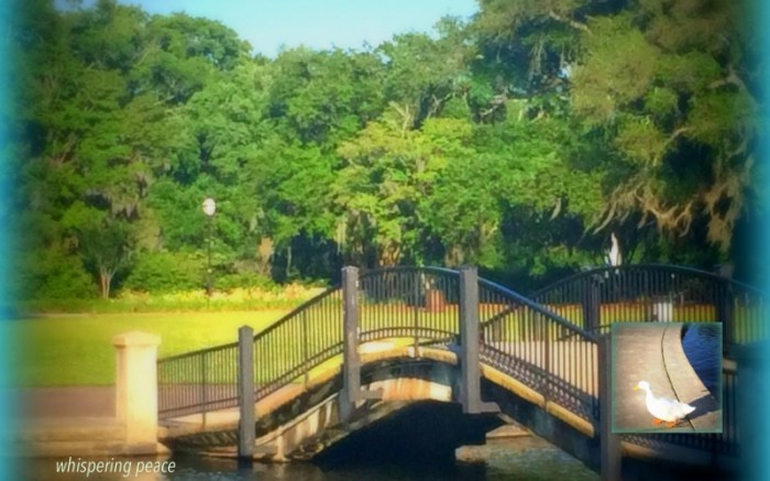 1-Pics for Blog Edits234