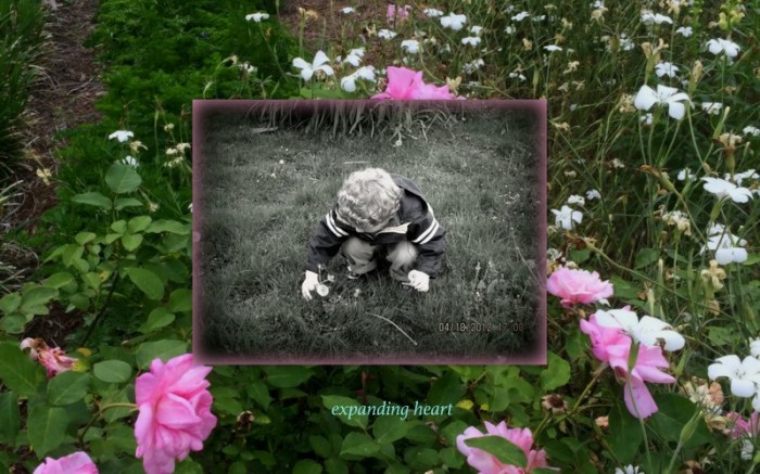 1-Pics for Blog Edits235