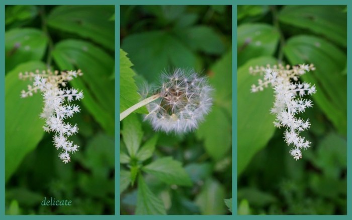 1-Pics for Blog Edits240