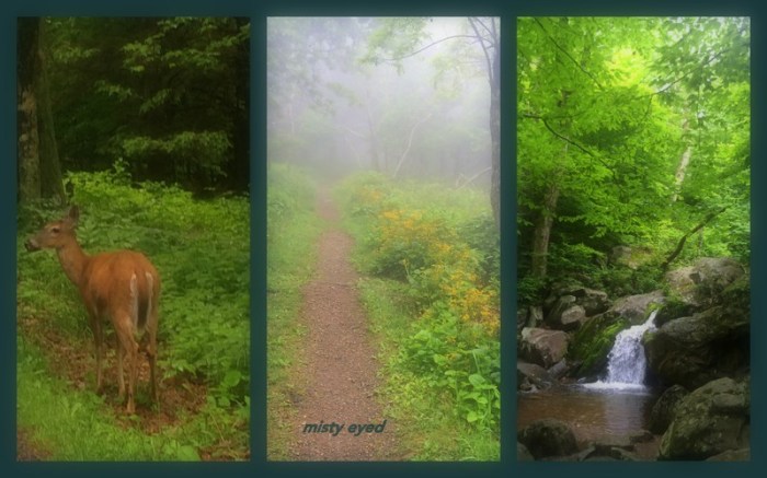 1-Pics for Blog Edits251