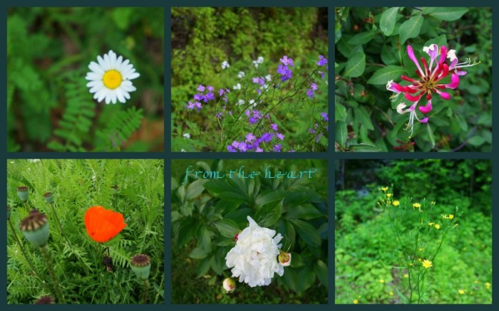 1-Pics for Blog Edits256