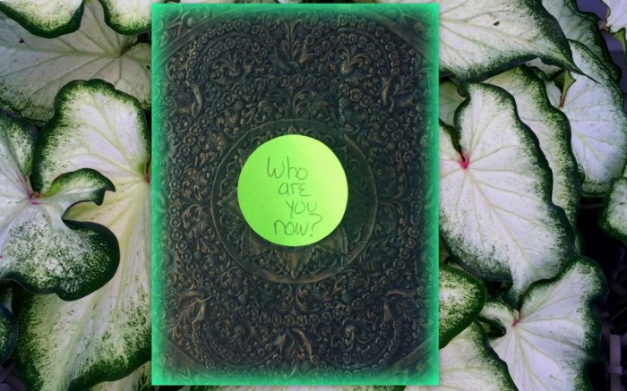 1-Pics for Blog Edits260