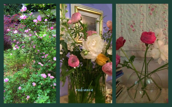 1-Pics for Blog Edits267