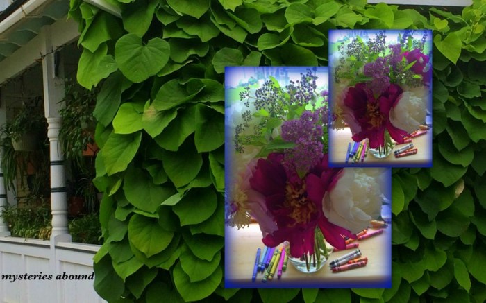 1-Pics for Blog Edits280