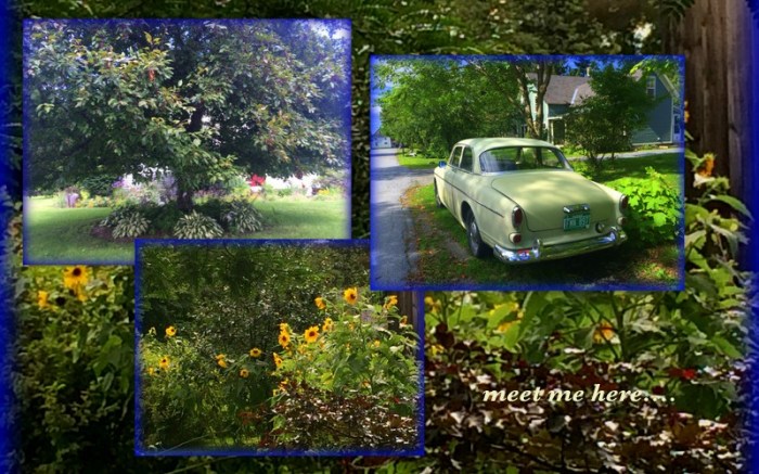 1-Pics for Blog Edits281