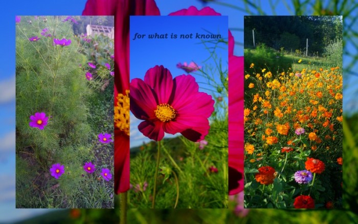 1-Pics for Blog Edits285