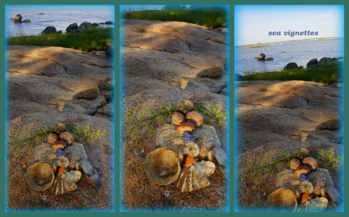 1-Pics for Blog Edits289