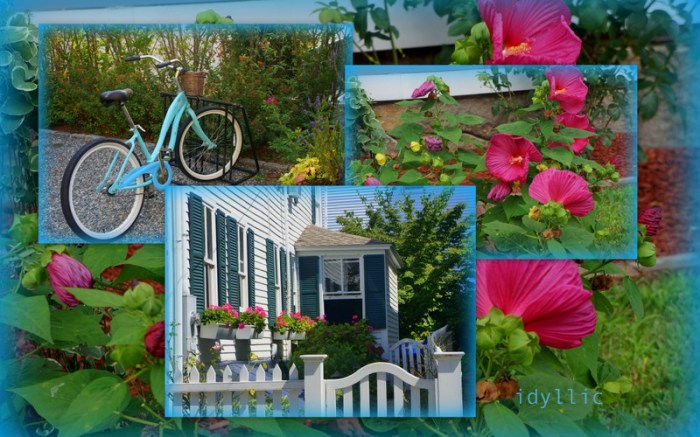 1-Pics for Blog Edits292