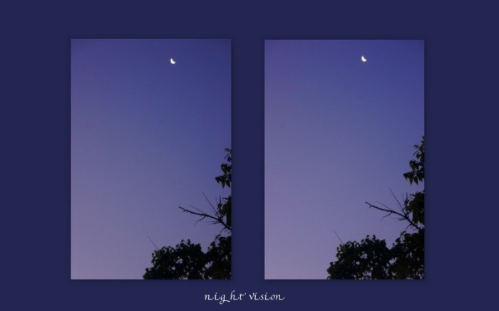 1-Pics for Blog Edits297