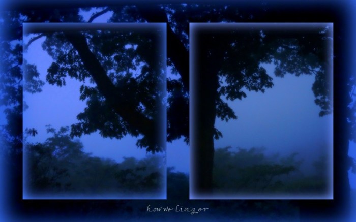 1-Pics for Blog Edits298