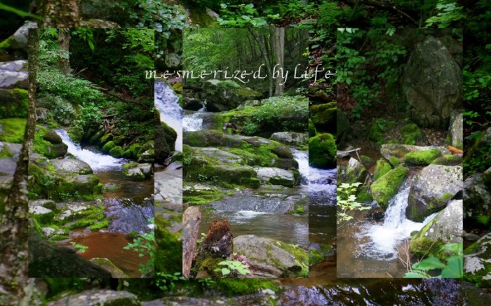 1-Pics for Blog Edits299