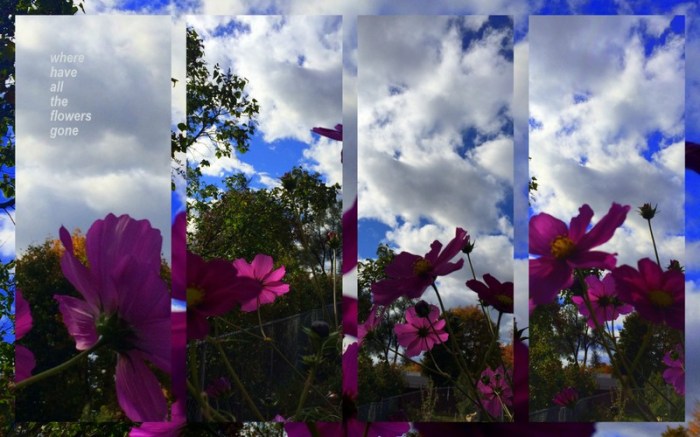 1-Pics for Blog Edits308