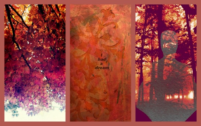 1-Pics for Blog Edits313