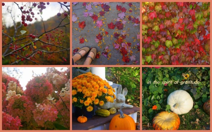 1-Pics for Blog Edits319