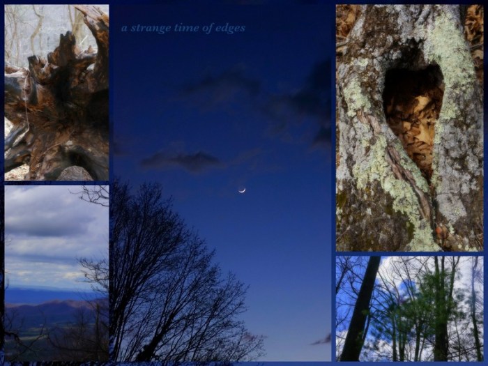 1-Pics for Blog Edits325