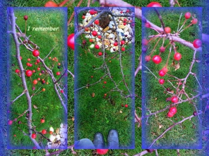 1-Pics for Blog Edits338