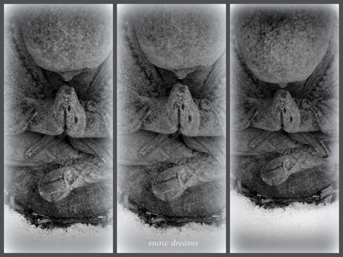 1-Pics for Blog Edits339