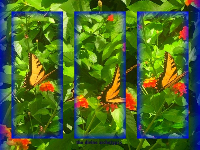 1-Pics for Blog Edits340