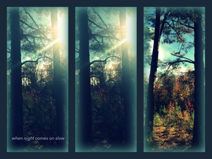 1-Pics for Blog Edits351.jpg