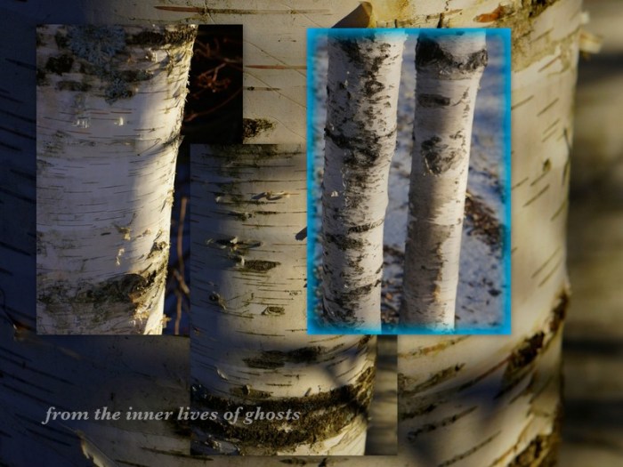 1-Pics for Blog Edits354