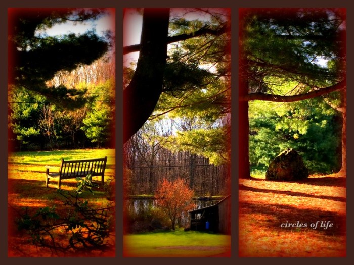 1-Pics for Blog Edits359