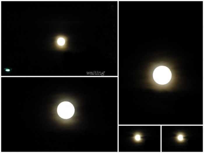 1-Pics for Blog Edits367